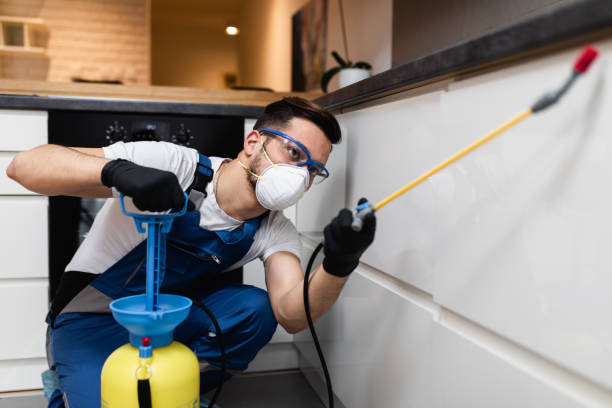 Best Rat Extermination Near Me  in Millersburg, PA