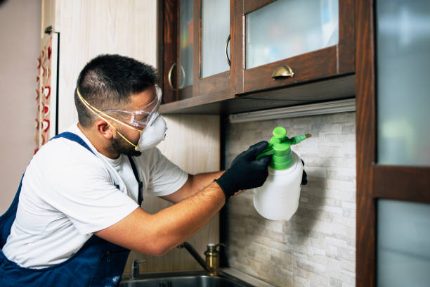 Best Cockroach Control Services  in Millersburg, PA