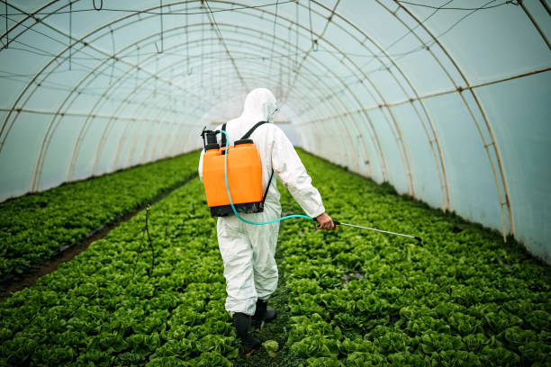 Best Local Pest Control Services  in Millersburg, PA