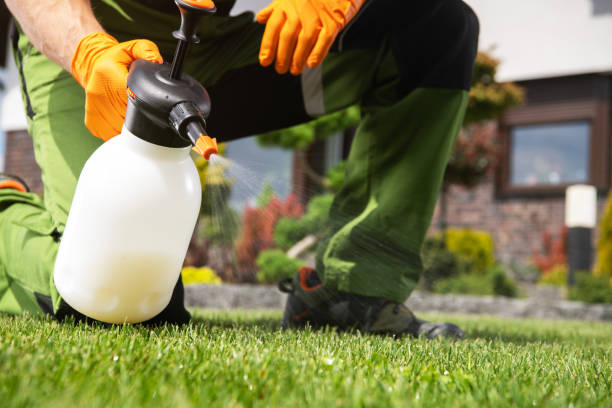 Best Mosquito Control Services  in Millersburg, PA