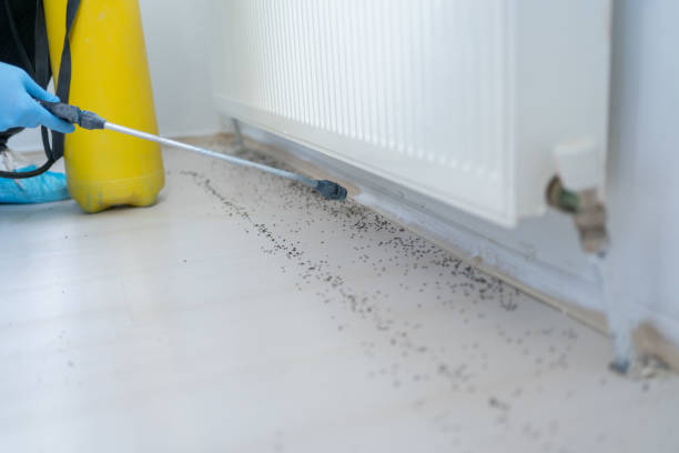 Best Exterminator Services  in Millersburg, PA