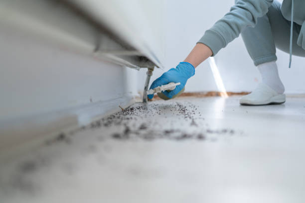 Bird Control in Millersburg, PA
