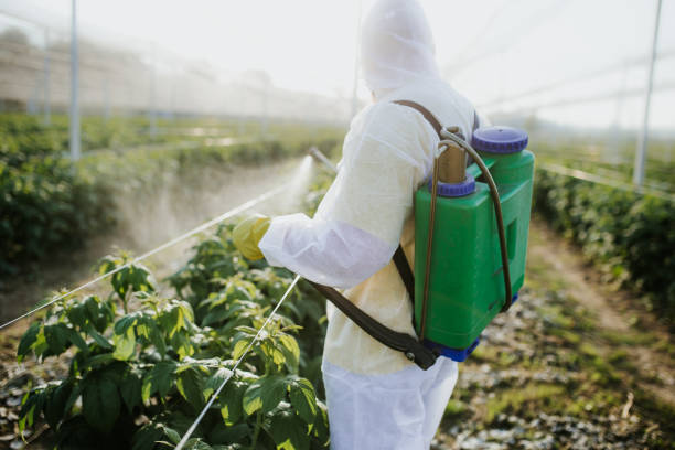 Best Pest Prevention Services  in Millersburg, PA